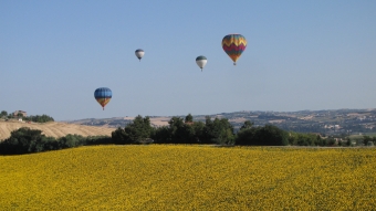 resoconto edizione 2011